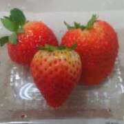 ヒメ日記 2025/06/05 13:40 投稿 なおこ奥様 人妻です