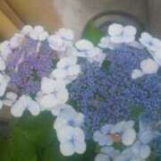 ヒメ日記 2025/06/23 19:18 投稿 なおこ奥様 人妻です