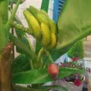 ヒメ日記 2025/07/21 19:33 投稿 なおこ奥様 人妻です