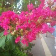 ヒメ日記 2025/08/13 10:18 投稿 なおこ奥様 人妻です