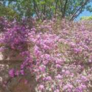 ヒメ日記 2025/09/04 18:53 投稿 なおこ奥様 人妻です