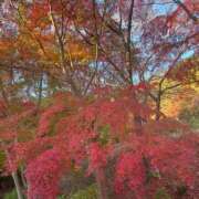 ヒメ日記 2025/11/30 14:04 投稿 なおこ奥様 人妻です