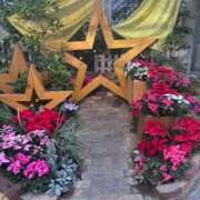 ヒメ日記 2025/12/25 11:43 投稿 なおこ奥様 人妻です