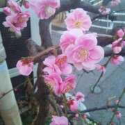 ヒメ日記 2026/02/26 10:55 投稿 なおこ奥様 人妻です