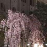 ヒメ日記 2026/04/02 11:00 投稿 なおこ奥様 人妻です