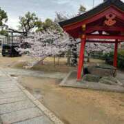 ヒメ日記 2026/04/04 14:22 投稿 なおこ奥様 人妻です