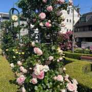 ヒメ日記 2026/05/17 19:28 投稿 なおこ奥様 人妻です
