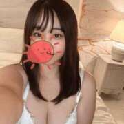 セナ 今日は19時から出勤するよ〜！ ちゃんこ本厚木店