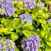 ヒメ日記 2025/06/07 20:59 投稿 美和 Second Love（セカンドラブ）