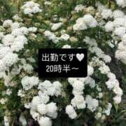 ヒメ日記 2025/06/14 15:47 投稿 坂口ひなた 淫乱OL派遣商社 斉藤商事