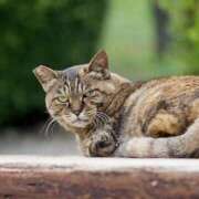 坂口ひなた ｺﾝﾆﾁﾜ 淫乱OL派遣商社 斉藤商事