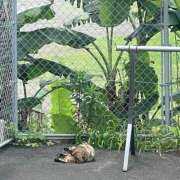 坂口ひなた おはよう☀️🤍 淫乱OL派遣商社 斉藤商事