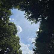 ヒメ日記 2025/09/12 22:22 投稿 るい 横浜風俗　寝取られたいオンナ達…生