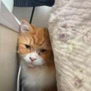 ヒメ日記 2025/07/29 18:05 投稿 ほのか 人妻倶楽部 内緒の関係 大宮店