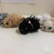 ヒメ日記 2025/09/08 18:57 投稿 ほのか 人妻倶楽部 内緒の関係 大宮店