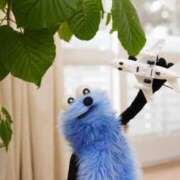 ヒメ日記 2026/03/08 15:46 投稿 ほのか 人妻倶楽部 内緒の関係 大宮店