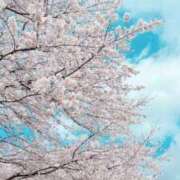 ヒメ日記 2026/04/02 11:54 投稿 ほのか 人妻倶楽部 内緒の関係 大宮店