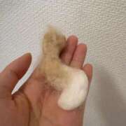 ヒメ日記 2026/09/19 10:56 投稿 ほのか 人妻倶楽部 内緒の関係 大宮店