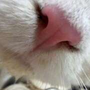 ヒメ日記 2025/06/21 06:14 投稿 ほのか 人妻倶楽部 内緒の関係 川越店