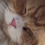 ヒメ日記 2025/11/05 11:34 投稿 ほのか 人妻倶楽部 内緒の関係 川越店