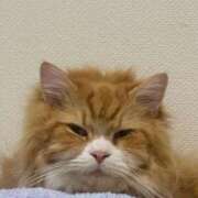 ヒメ日記 2026/02/24 13:28 投稿 ほのか 人妻倶楽部 内緒の関係 川越店