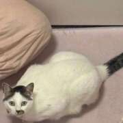 ヒメ日記 2026/03/21 21:38 投稿 ほのか 人妻倶楽部 内緒の関係 川越店