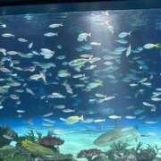 ヒメ日記 2025/09/30 17:45 投稿 ほのか 人妻倶楽部内緒の関係 春日部店