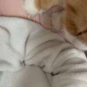 ヒメ日記 2026/02/25 07:55 投稿 ほのか 人妻倶楽部内緒の関係 春日部店