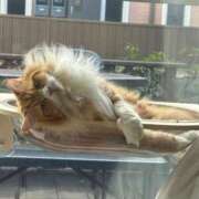 ヒメ日記 2026/03/19 17:05 投稿 ほのか 人妻倶楽部内緒の関係 春日部店