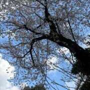 ヒメ日記 2026/03/29 13:25 投稿 ほのか 人妻倶楽部内緒の関係 春日部店