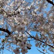 ヒメ日記 2026/03/12 12:24 投稿 にな 千葉みるみる（ユメオト）