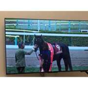 ヒメ日記 2025/08/17 17:50 投稿 Love Me-運命の出逢い- GOOD-グッド-