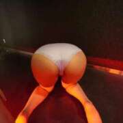 ヒメ日記 2025/06/02 17:19 投稿 らん【高山出発】 Cat's高山店