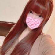 ヒメ日記 2025/06/02 23:49 投稿 らん【高山出発】 Cat's高山店