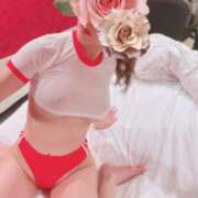 ヒメ日記 2026/04/01 10:01 投稿 るい AVANCE福岡