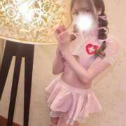 ヒメ日記 2025/08/12 21:50 投稿 ツウィ いたずらバニーちゃん