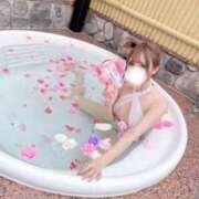 ヒメ日記 2025/09/07 12:20 投稿 ツウィ いたずらバニーちゃん