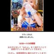 ヒメ日記 2025/10/31 17:30 投稿 ツウィ いたずらバニーちゃん