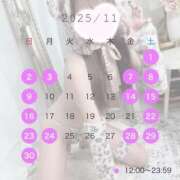 ヒメ日記 2025/11/01 13:50 投稿 ツウィ いたずらバニーちゃん