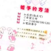 ヒメ日記 2025/11/01 14:20 投稿 ツウィ いたずらバニーちゃん