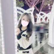 ヒメ日記 2025/11/22 15:00 投稿 ツウィ いたずらバニーちゃん