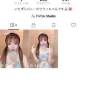 ヒメ日記 2025/11/28 23:00 投稿 ツウィ いたずらバニーちゃん