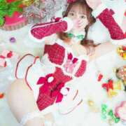 ヒメ日記 2025/12/24 11:58 投稿 ツウィ いたずらバニーちゃん