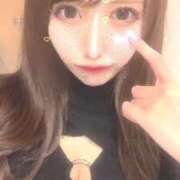 ヒメ日記 2025/12/27 08:00 投稿 ツウィ いたずらバニーちゃん