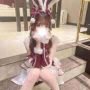 ヒメ日記 2026/01/05 20:50 投稿 ツウィ いたずらバニーちゃん