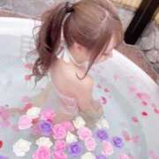 ヒメ日記 2026/01/24 12:36 投稿 ツウィ いたずらバニーちゃん