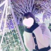 ヒメ日記 2026/01/27 13:50 投稿 ツウィ いたずらバニーちゃん