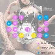 ヒメ日記 2026/01/27 23:30 投稿 ツウィ いたずらバニーちゃん