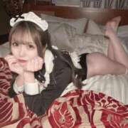 ヒメ日記 2026/02/16 18:33 投稿 ツウィ いたずらバニーちゃん