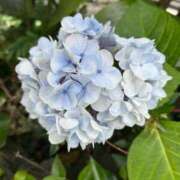 ヒメ日記 2025/06/12 17:35 投稿 かりん S級しろうと娘